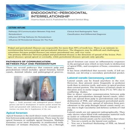 Endodontic-Periodontal Relationship Brief Lecture