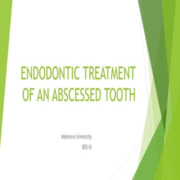 Endodontic treatment of an abscessed tooth