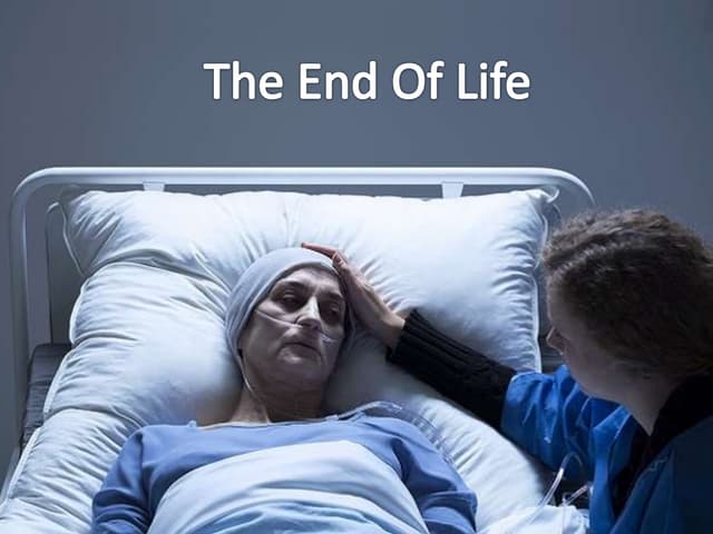 There's An Issue On Our End. We're On It. end of life issues.pptx