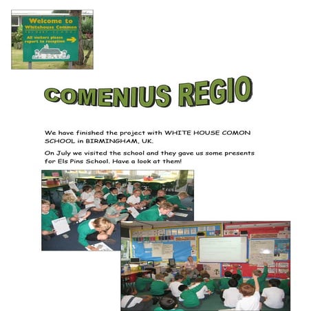 End of project poster