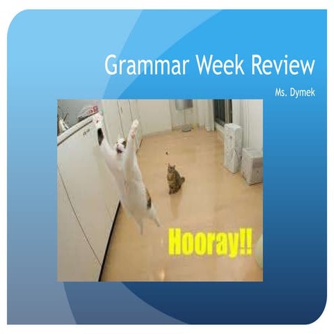 End of the year grammar review