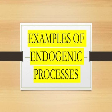 ENDOGENIC 2.pptx