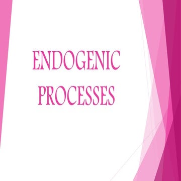 Endogenic processes(Michelle Domingo)