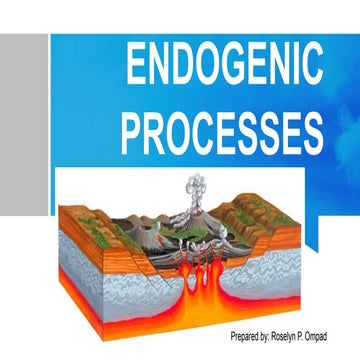 Endogenic processes - The Process Within | PPTX