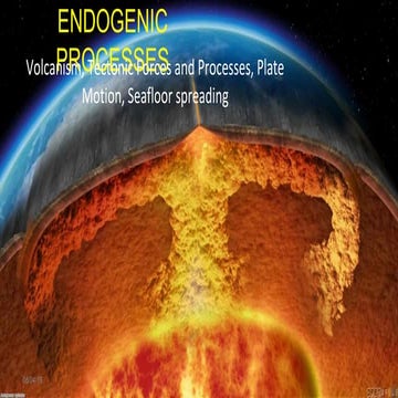 Endogenic processe sppt
