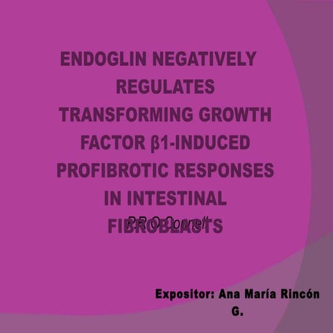 Endoglin negatively regulates transforming growth factor β1 induced
