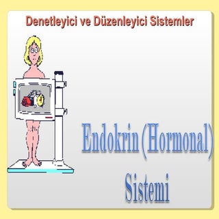Endokrin sistem