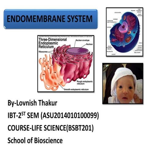 Endomembrane system