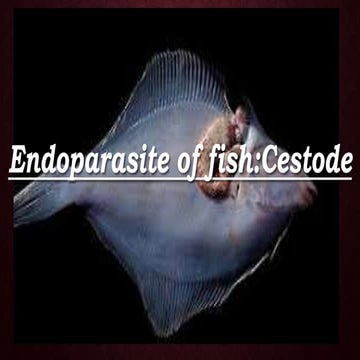 Endoparasite of fish
