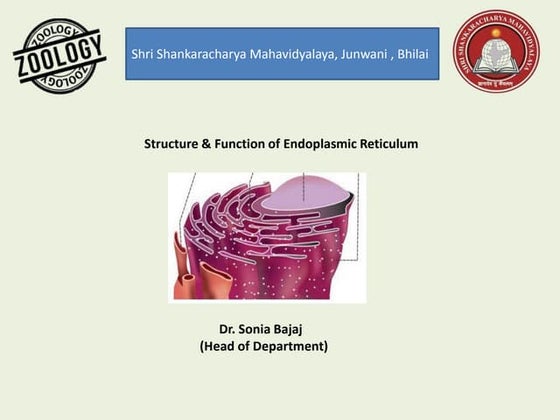 Endoplasmic reticulum | PPT