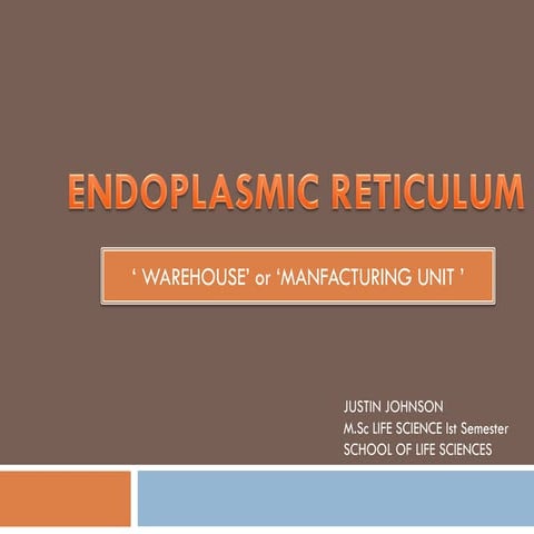 Endoplasmic reticulum[1]