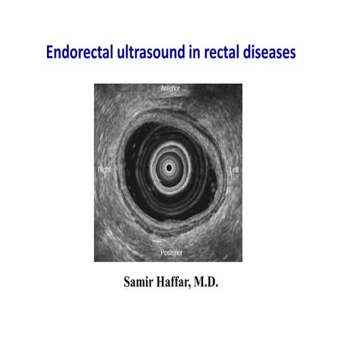 Endorectal ultrasound in rectal diseases