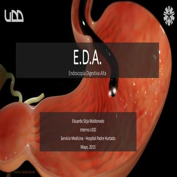 Endoscopía | PPTX