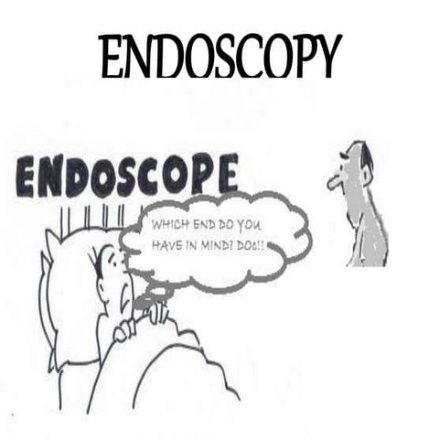 Endoscope