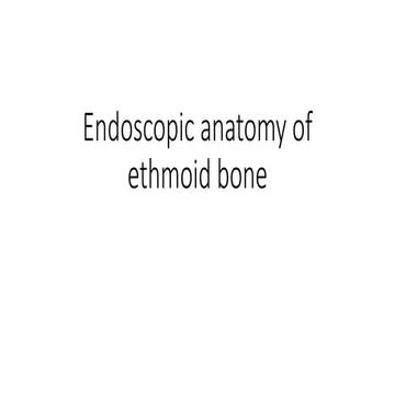 Endoscopic anatomy of ethmoid bone