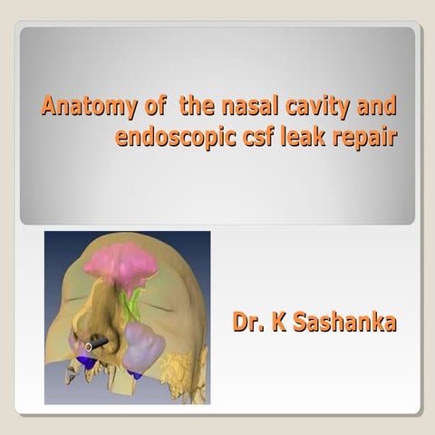 Endoscopic nasal anatomy | PPT
