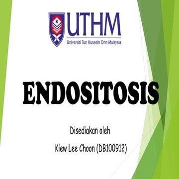 Endositosis