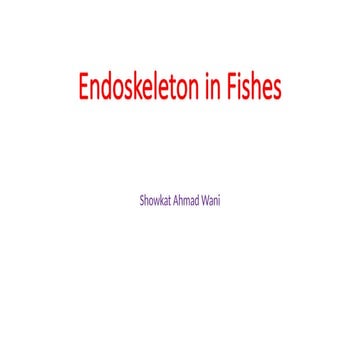 Endoskeleton in Fishes. B.Sc. Zoology (Honors)