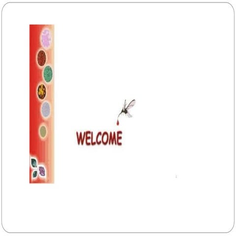 Endosymbionts of insects