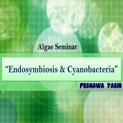 Endosymbiosis & cyanobacteria