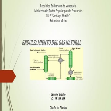 Endulzamiento del gas natural | DOCX