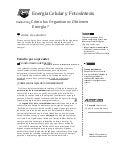 Similar a esquema general metabolismo