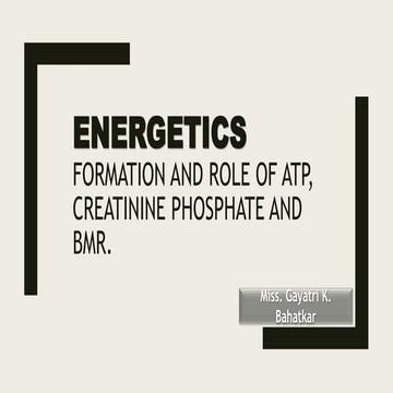 Energetics.pptx