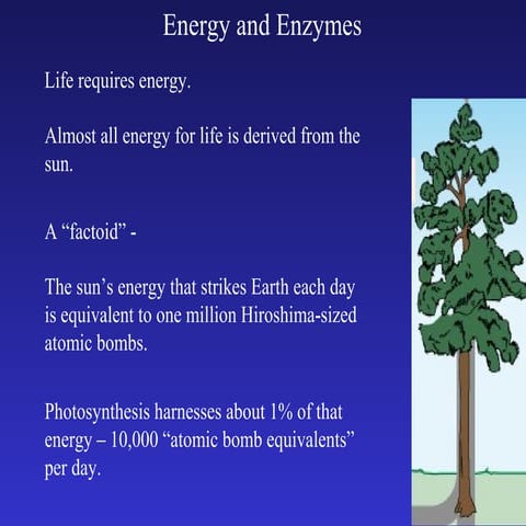 Energetics and enzymes 1