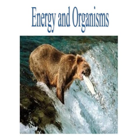 Energy and Organisms