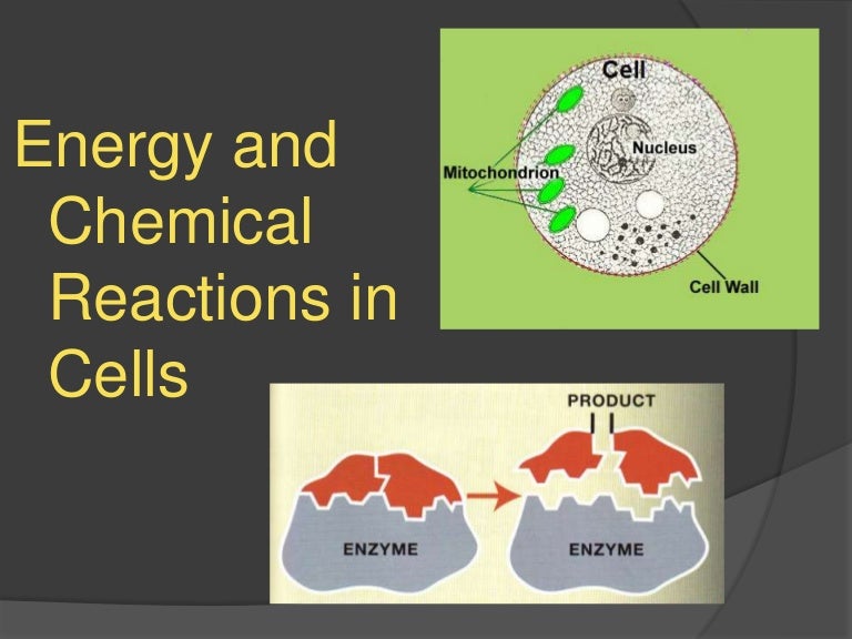 Energy and chem reactions in cells