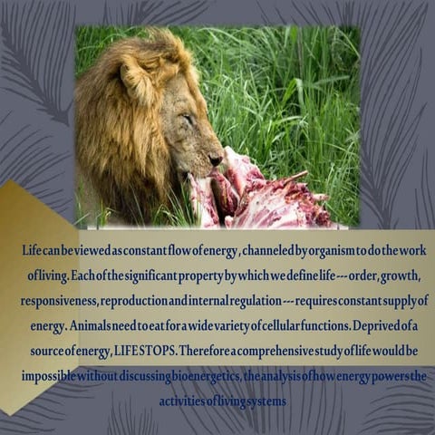 Energy and metabolism