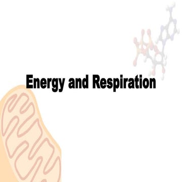 energy and respiration semesta school.pptx