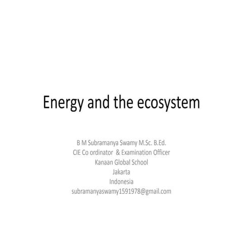 Energy and the ecosystem IGCSE