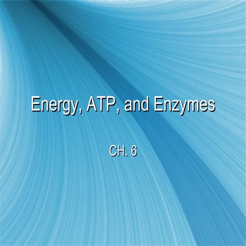 AP Biology Energy, atp, and enzymes