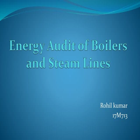Energy audit  boiler and steam lines