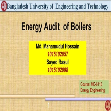 Energy audit of boiler
