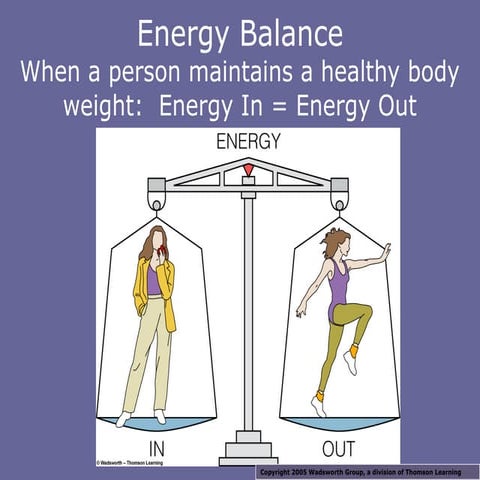 Energy Balance Powerpoint Presentation...