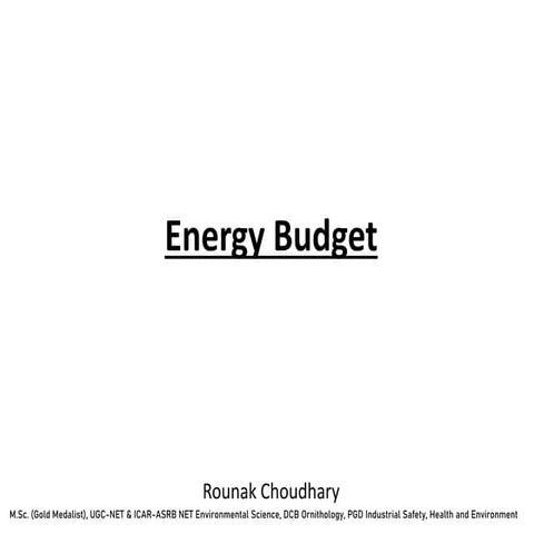 Energy Budget.pdf