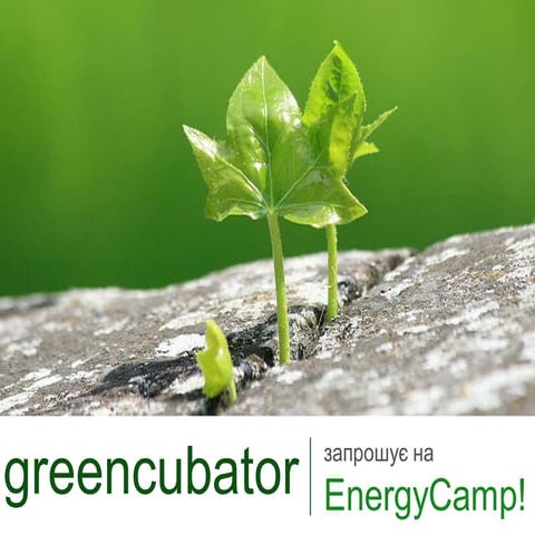 Energy camp 2011