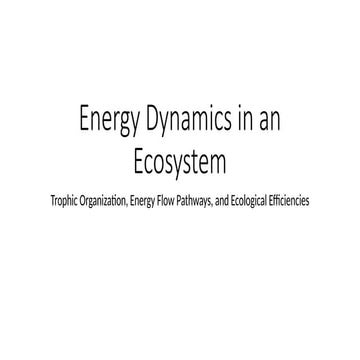 Energy Dynamics in an Ecosystem: Trophic Organization, Energy Flow Pathways, ...