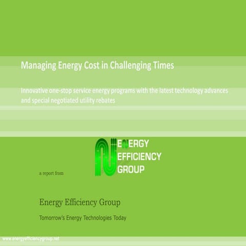 Energy Efficiency Group