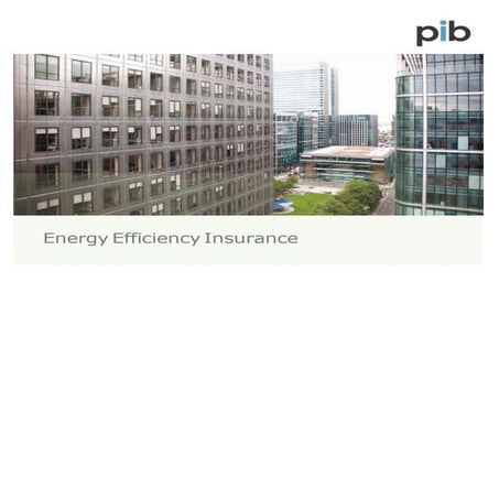 Energy Efficiency Insurance Brochure