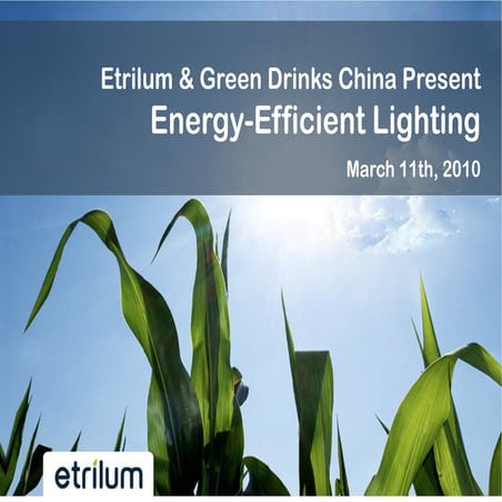 Commercial Lighting - Energy Efficient Light Bulbs | PDF