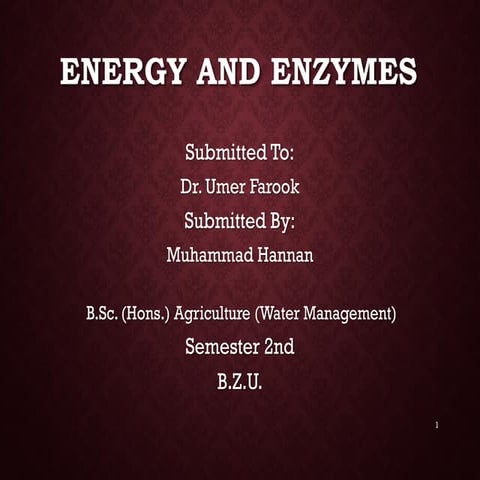 Energy &amp; enzymes