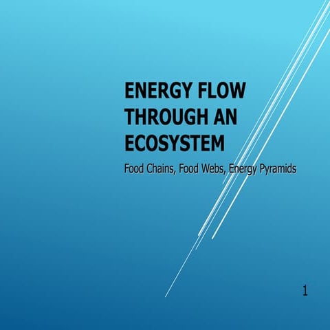 energyflow-150708013155-lva1-app6892.ppt.pptx