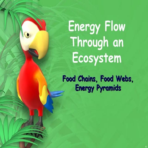 Energy flow