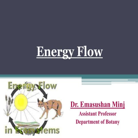 Energy flow