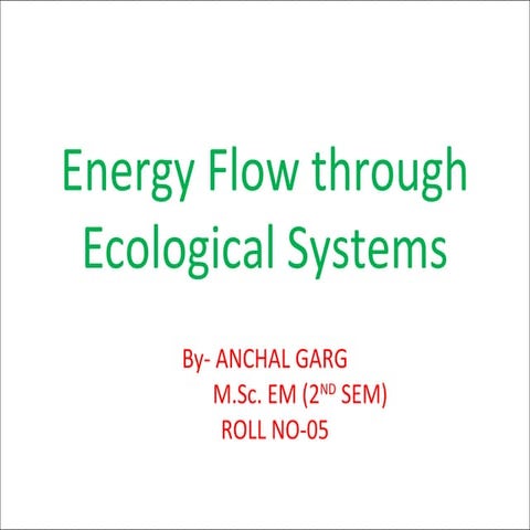 Energy flow by using energy models  in ecosystem