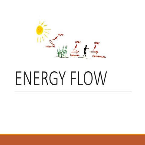 Energy flow in cells