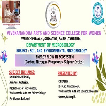 Energy flow in Ecosystem carbon & nitrogen & Sulphur Cycle